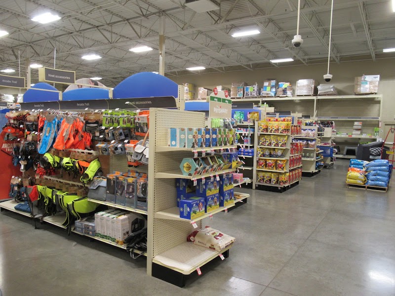 PetSmart photo 2