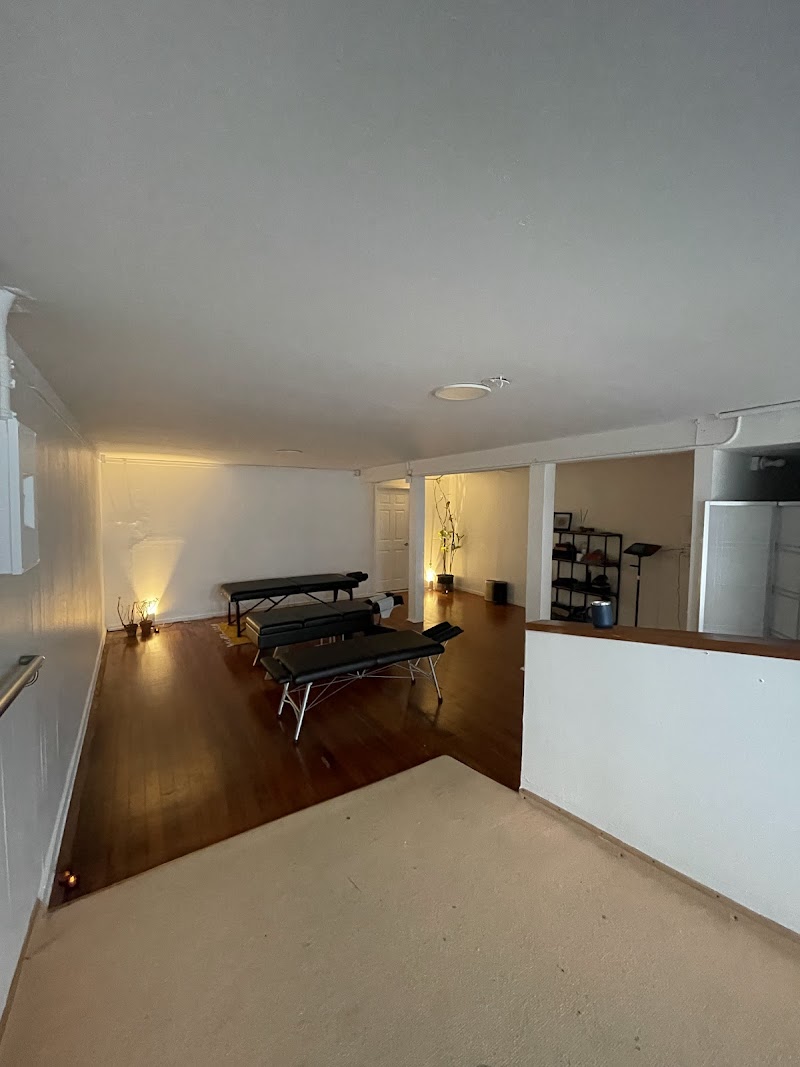 Chiro Roots SF photo 4
