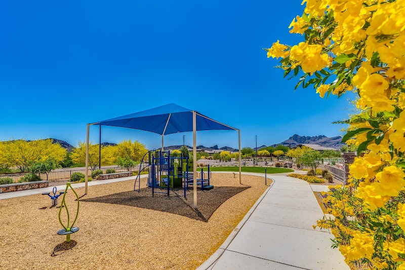Photo of Saguaro Bloom Community Center