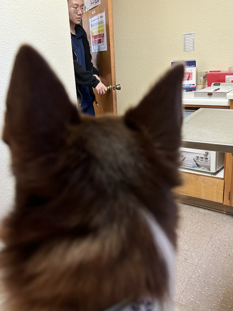Dr. Timm photo 4