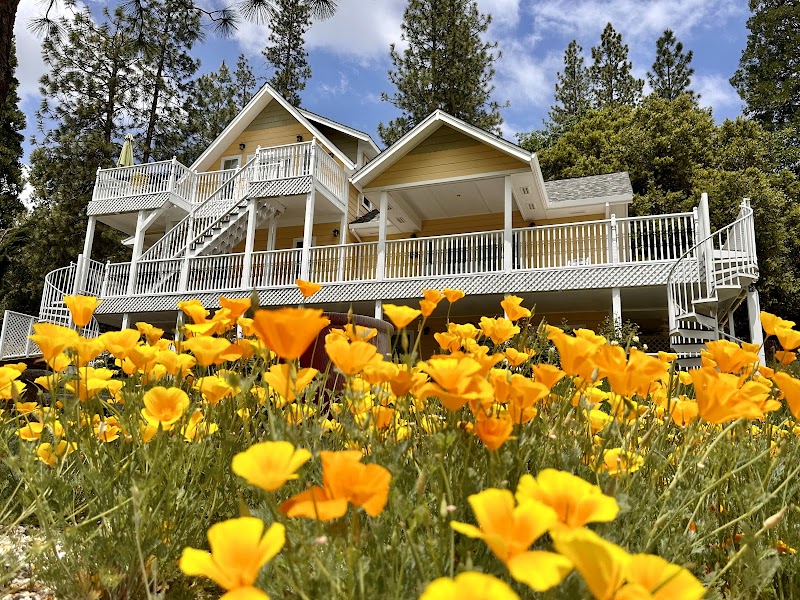 Blackberry Inn Yosemite photo 5