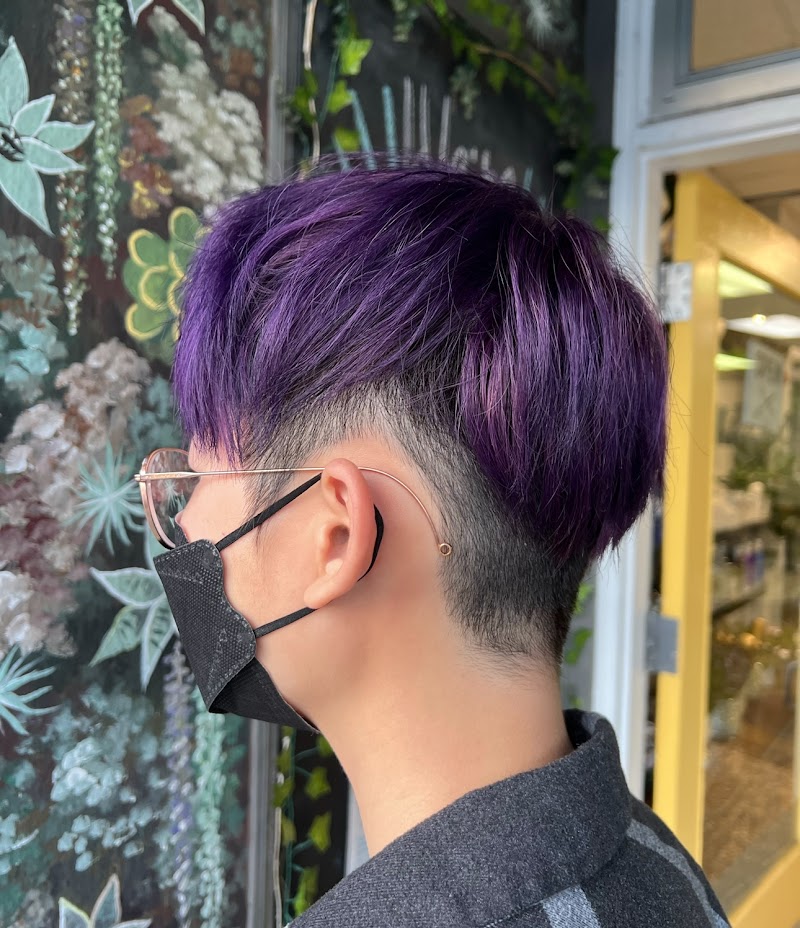 Photo of Hallmark of Hair