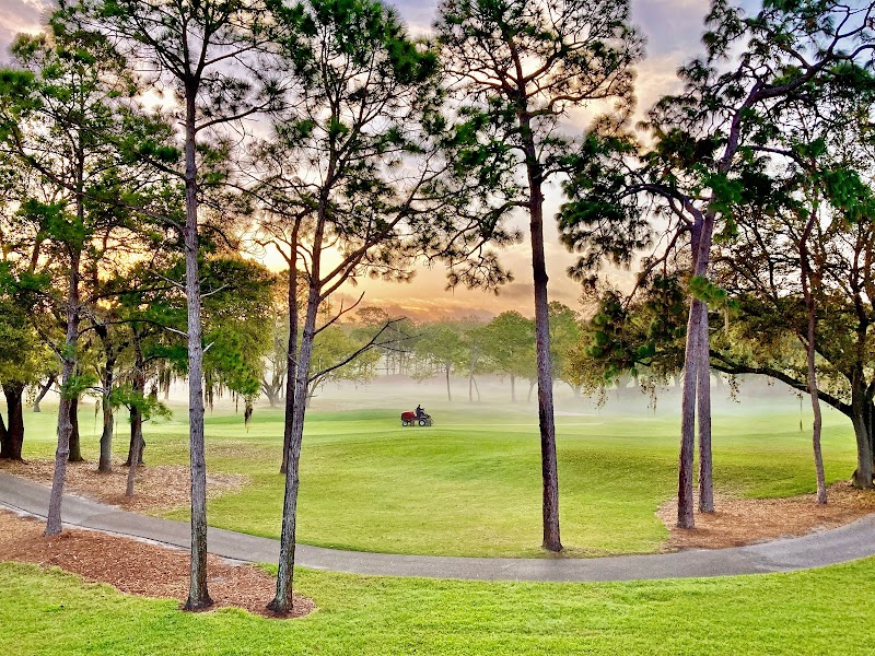 Innisbrook Resort photo 5