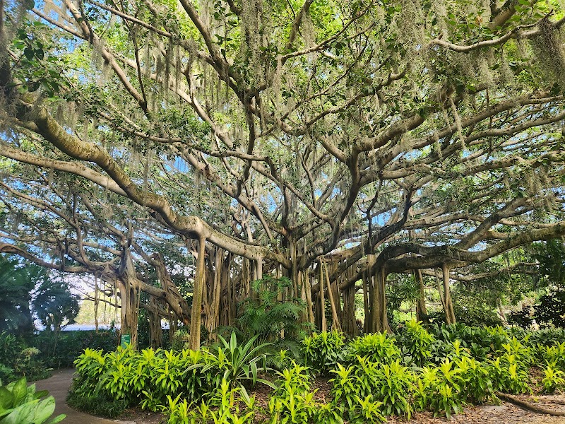 Cypress Gardens photo 2