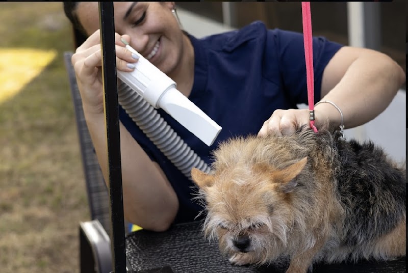 Leal pet grooming and hotel photo 4