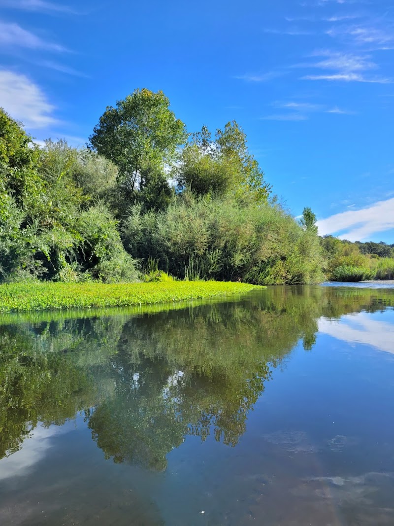 River's Edge Kayak & Canoe photo 3