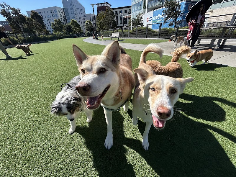 Photo of Tefani & So Dogcare