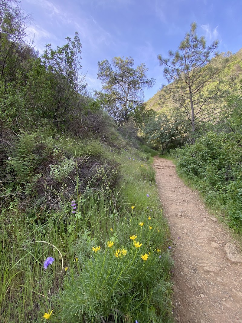 Mount Diablo State Park photo 3