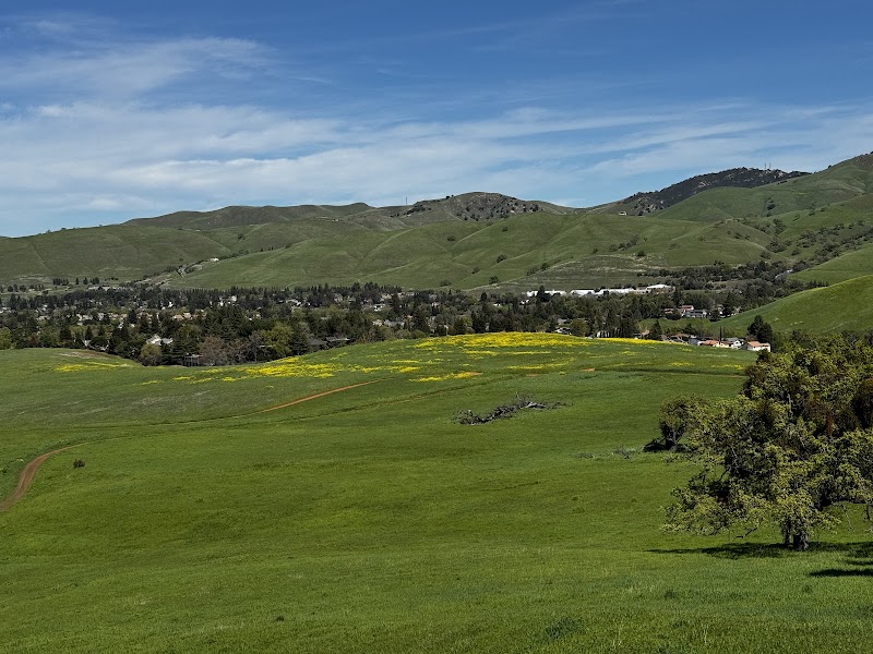 Mount Diablo State Park photo 5