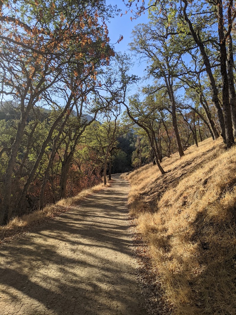 Mount Diablo State Park photo 4
