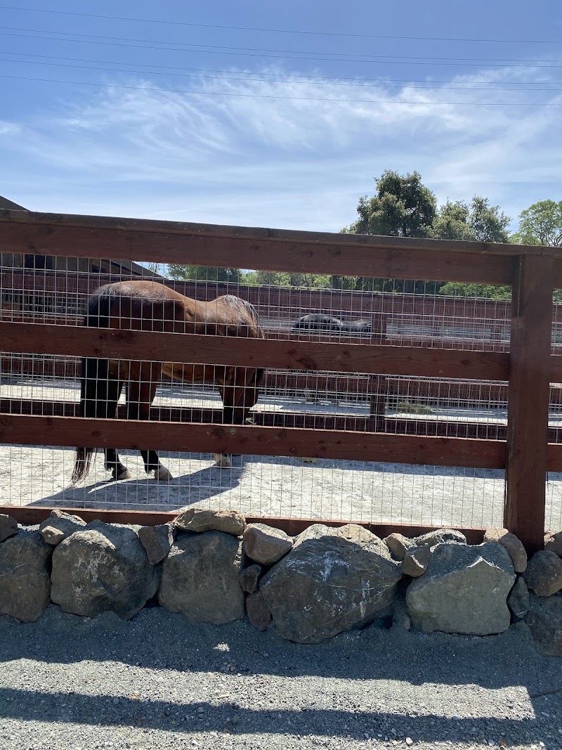 Country Equestrian photo 2