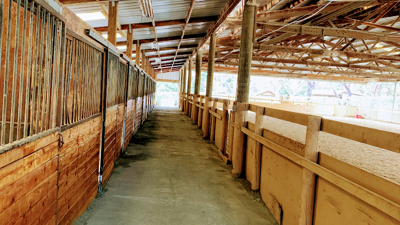 Photo of Country Equestrian