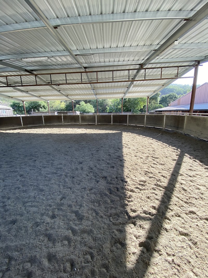 Country Equestrian photo 3
