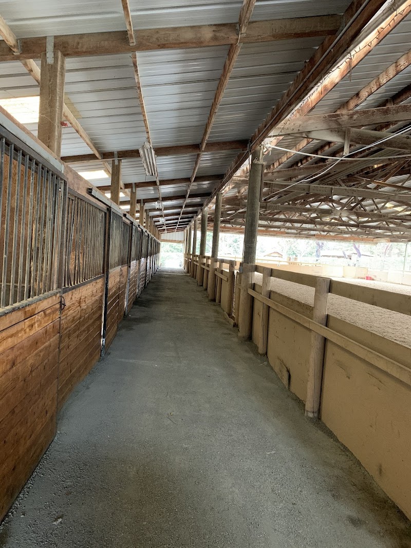 Country Equestrian photo 4