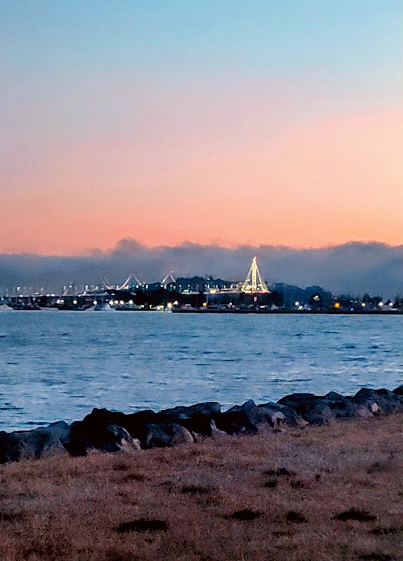 Point Emery photo 3