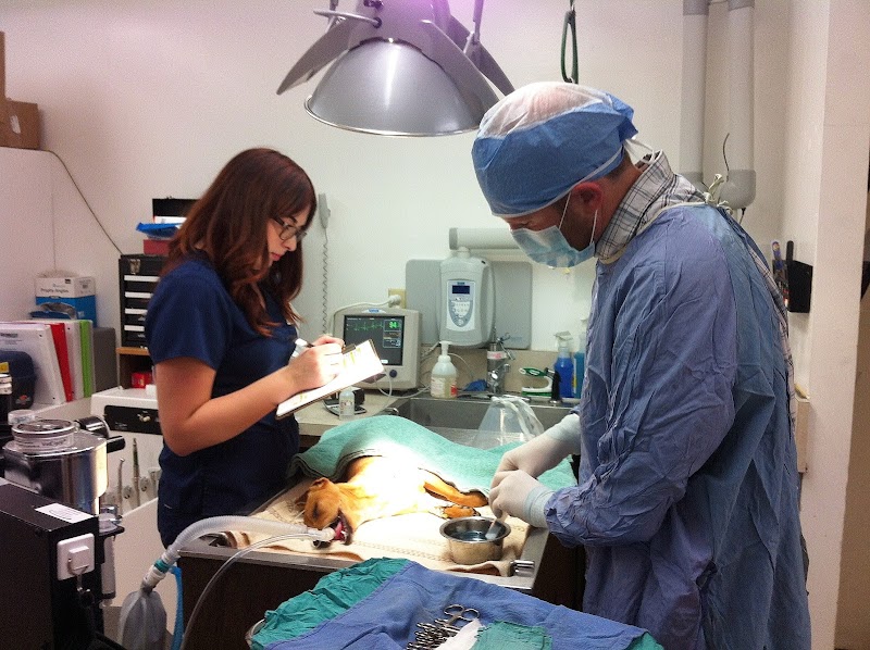 Groveway Pet Hospital photo 4