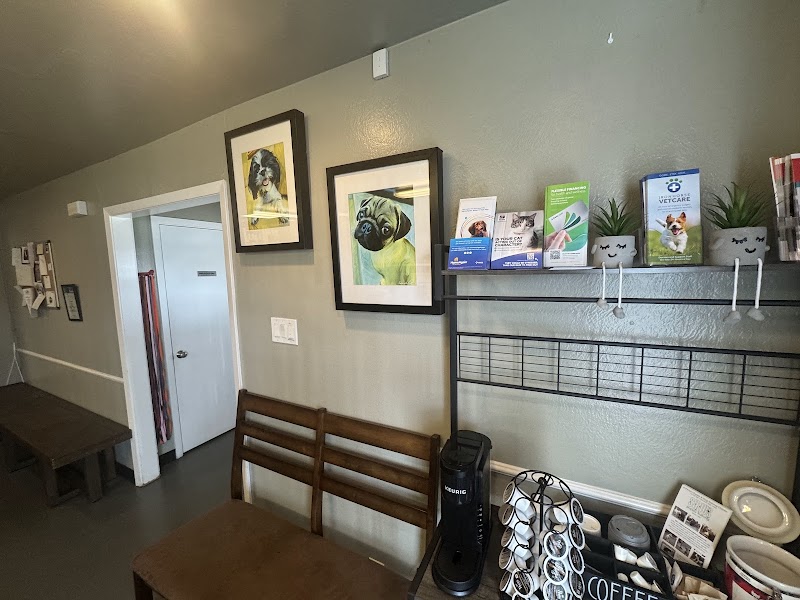 Groveway Pet Hospital photo 3