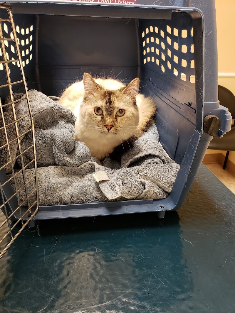 Groveway Pet Hospital photo 5