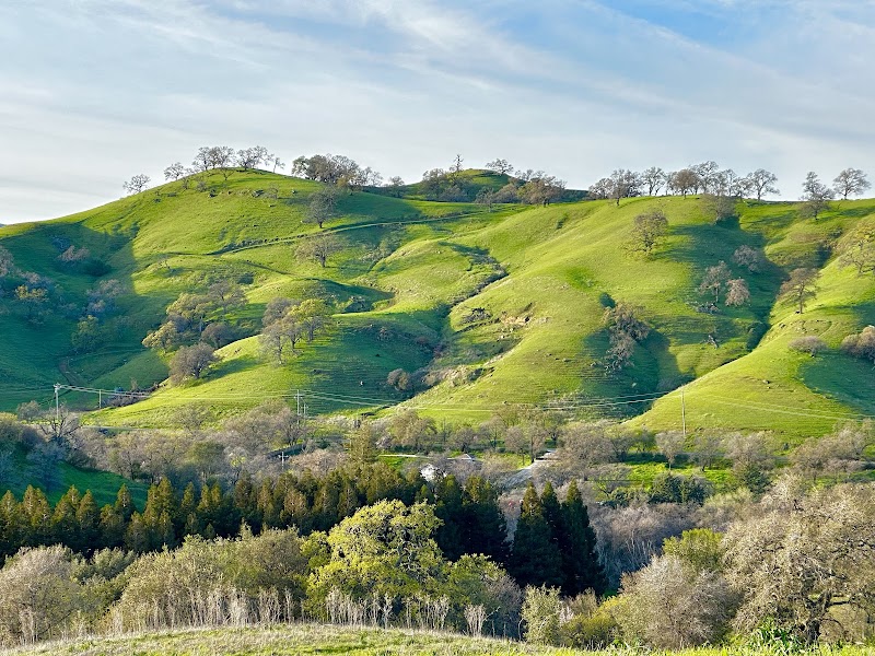 Lagoon Valley Park photo 3