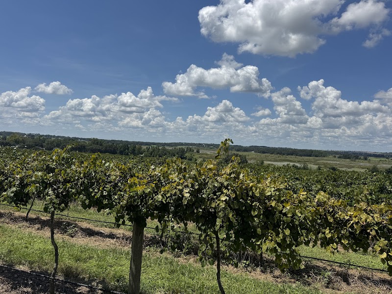 Lakeridge Winery & Vineyards photo 3