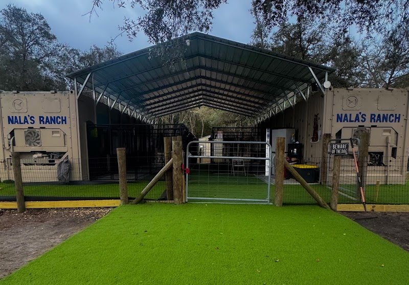 Photo of Nala's Ranch: Dog Boarding & Training