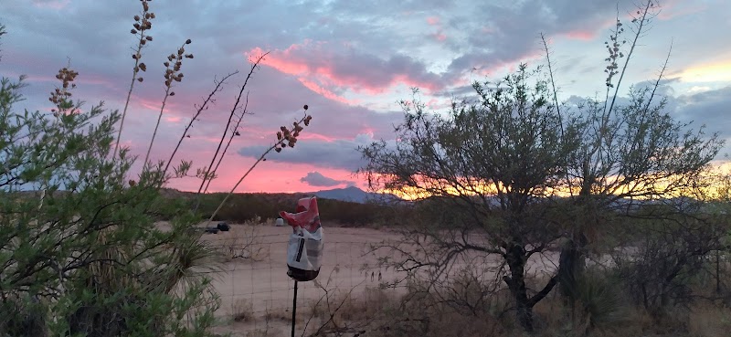 Whiz Bang Ranch photo 4