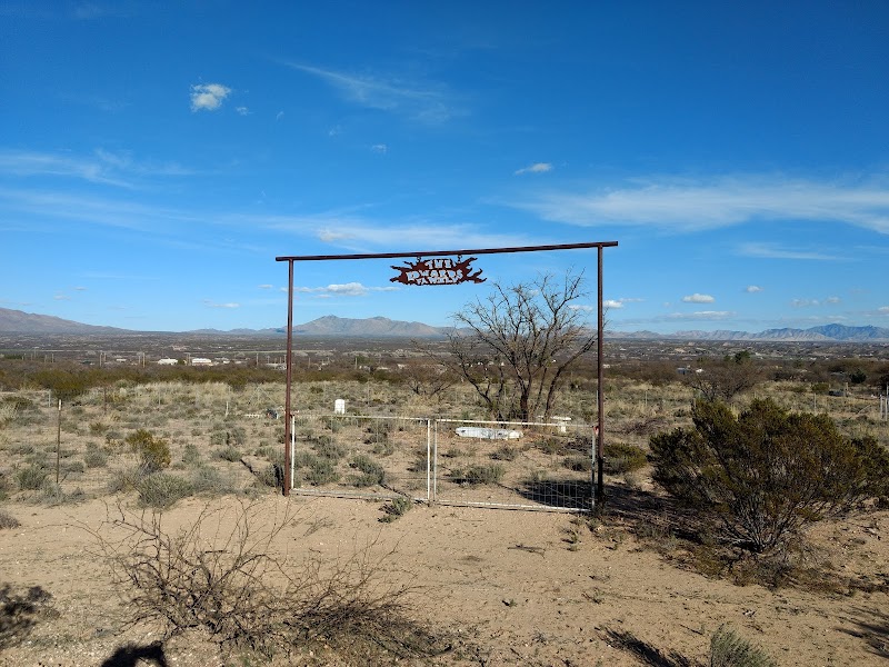 Whiz Bang Ranch photo 5