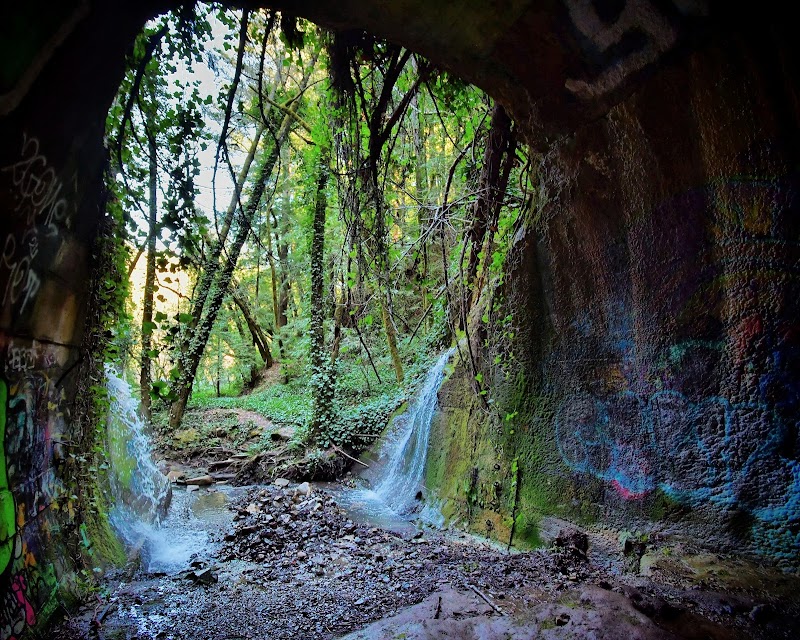 Photo of Wrights Station Train Tunnel