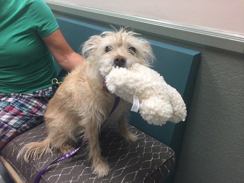 Sunrise Pet Clinic photo 2