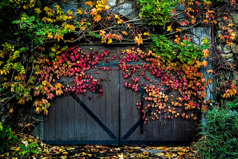 Photo of Hans Fahden Vineyards