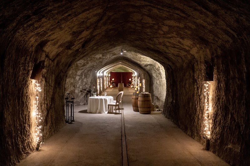 Hans Fahden Vineyards photo 3