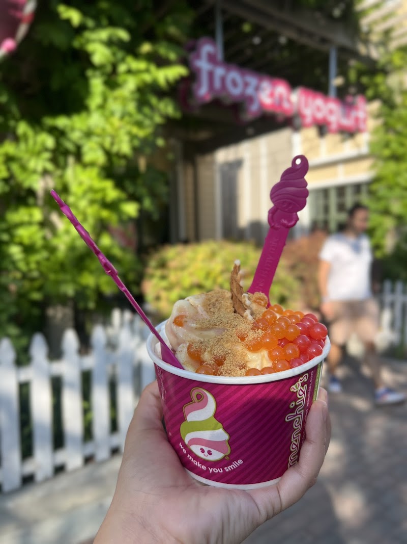 Menchie's Frozen Yogurt photo 5