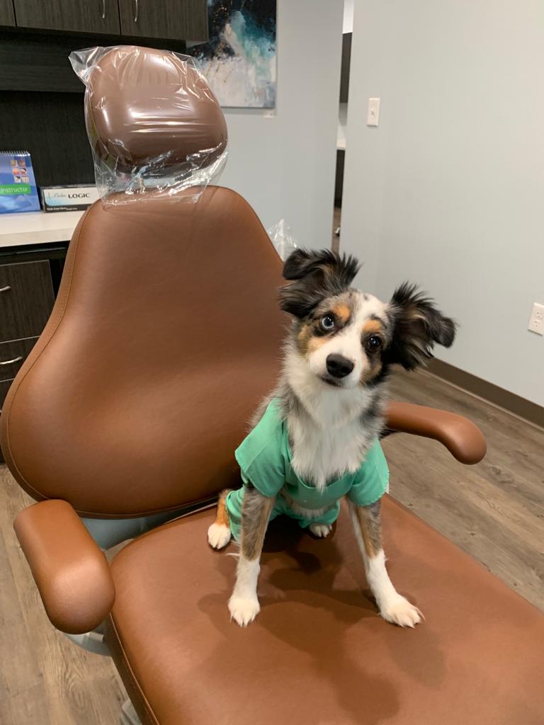 Watts Dental photo 3