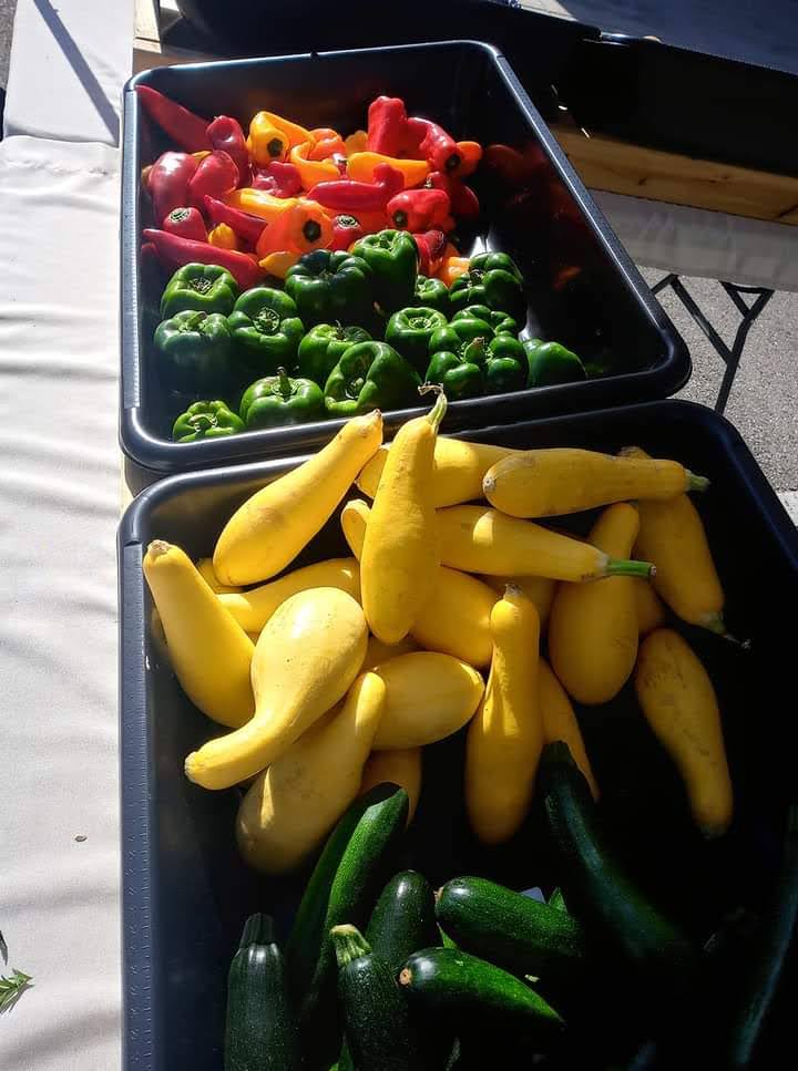 Dube's Farm and Market photo 4