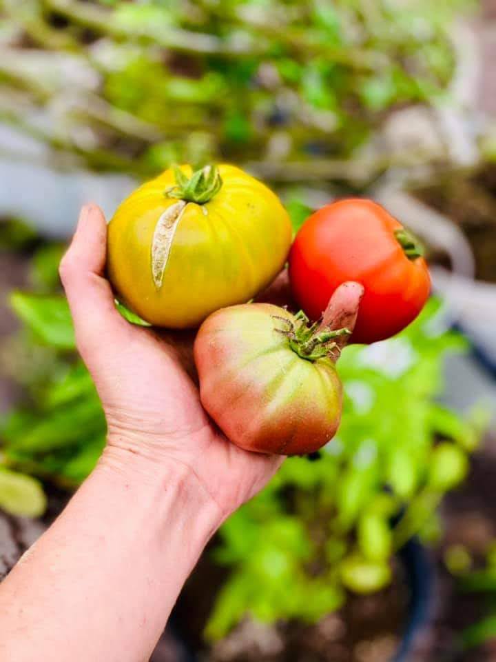 Dube's Farm and Market photo 3