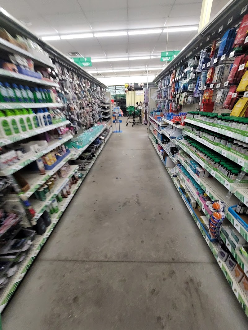 Dollar Tree photo 5