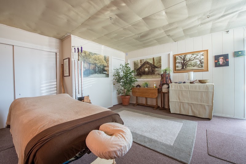 Body Ecology - Therapeutic Massage & Healing Arts Hub photo 2
