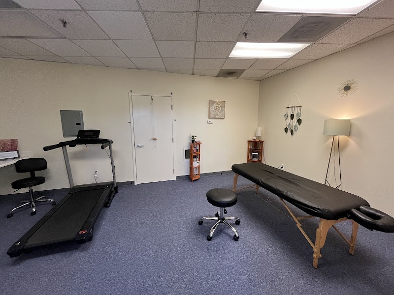 Vitality Physical Therapy photo 3