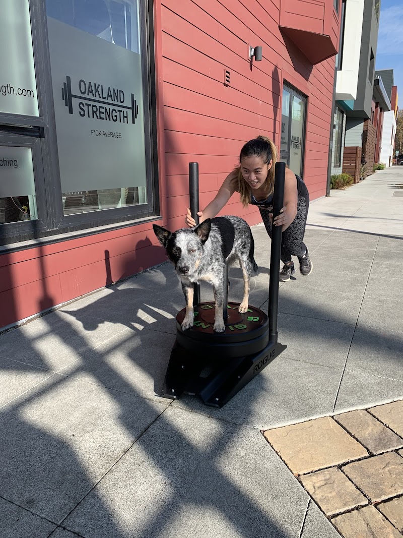 Oakland Strength photo 2