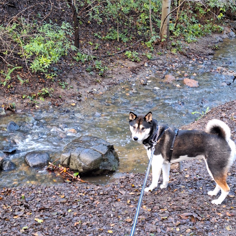 Summerhill Pet-Sitting Service photo 3