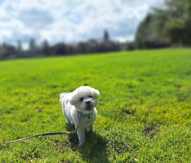 Summerhill Pet-Sitting Service photo 5
