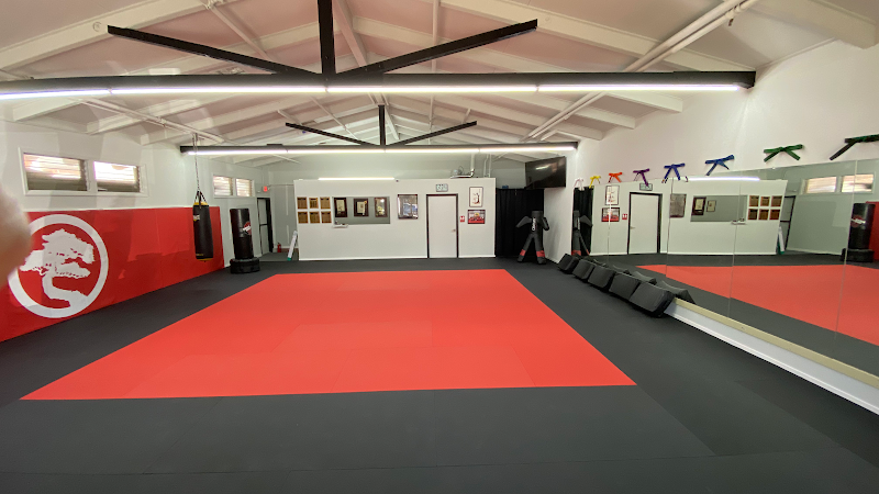 Photo of United Studios of Self Defense