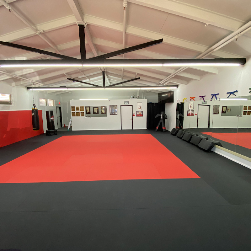 United Studios of Self Defense photo 2