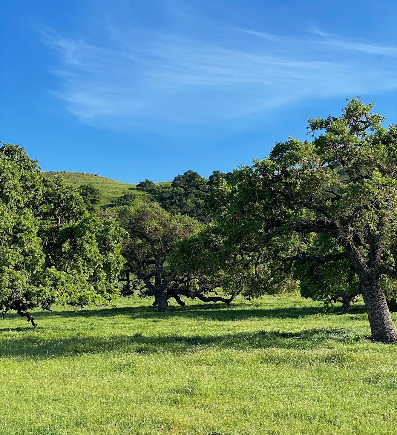 Photo of Baird Ranch Reserve