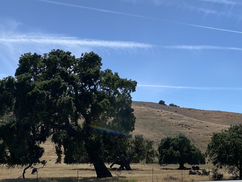 Baird Ranch Reserve photo 3