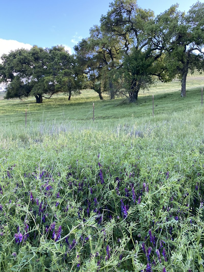 Baird Ranch Reserve photo 5