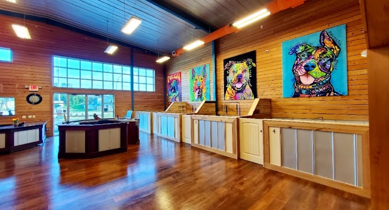 Lucky Puppy Nail Specialists LLC photo 2