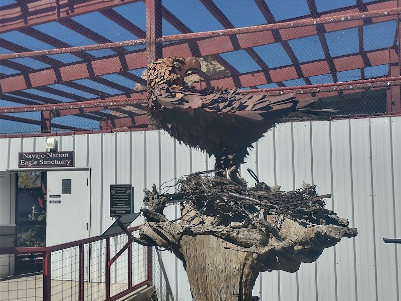 Navajo Nation Zoo photo 5