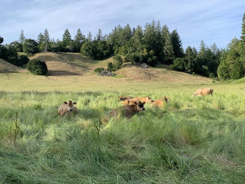 Photo of Bramble Tail Homestead