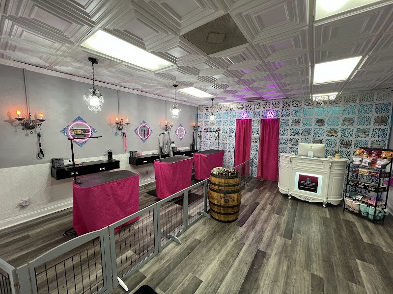 Pawlor House Dog Grooming & Pet Boutique photo 3
